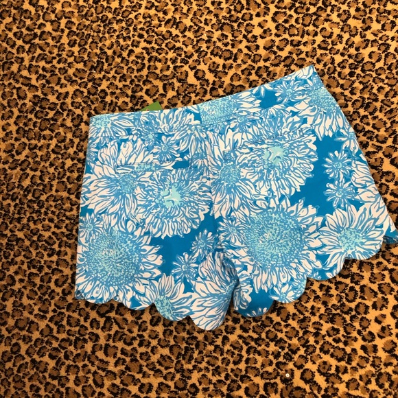 Size 0 buttercup shorts - Picture 2 of 2